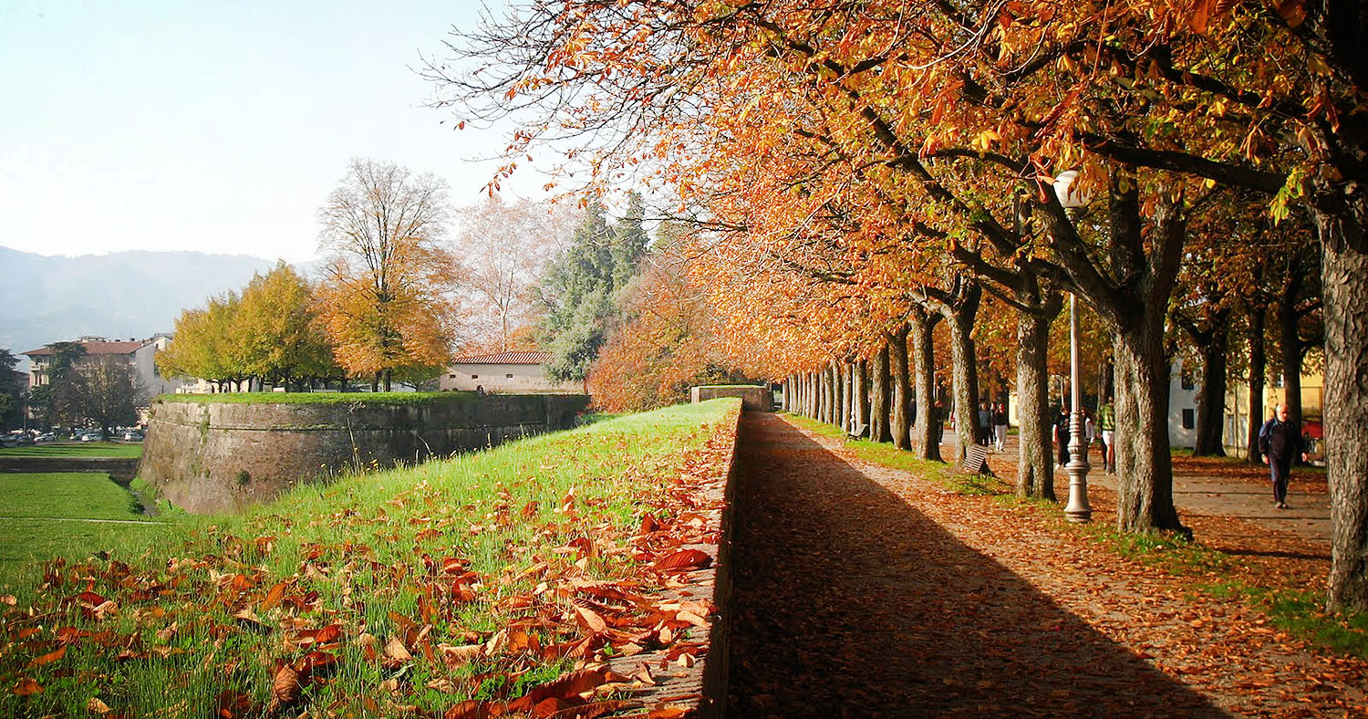 Lucca in autunno